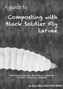 Black Soldier Fly Composting - By Quoc-Huy