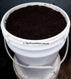 Worm Castings Or Vermicompost From Worm Farms