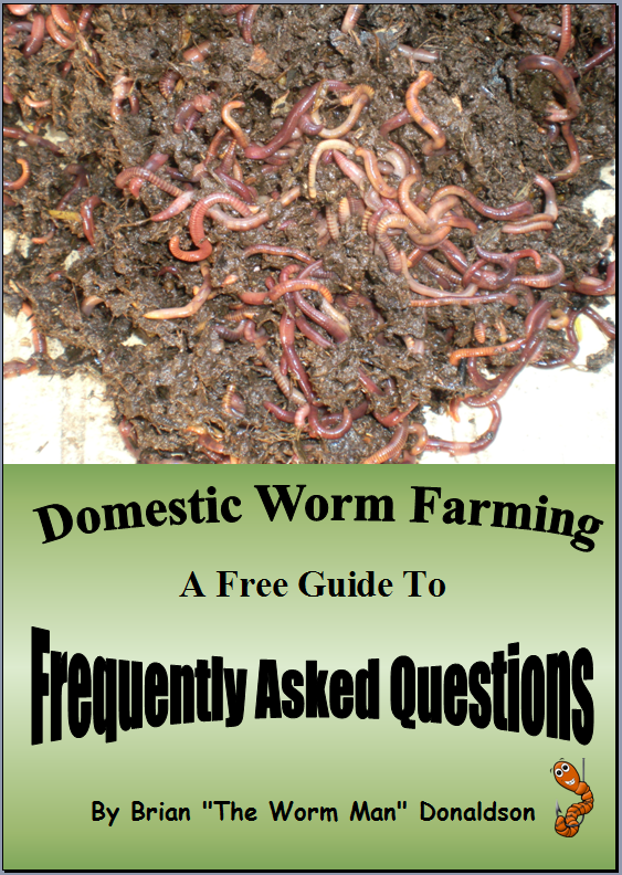 Eco Valley Worms  Composting Worms, Fishing Worms, Worm Farms