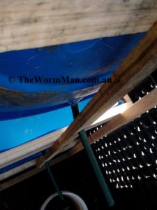 Blue-Barrel-Worm-Farm-2