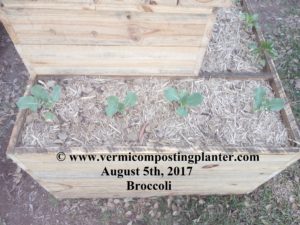 1 - Vermicomposting Planter Worm Farm - 050817