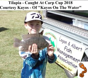 Fish Caught Using My Bait Worms - Courtesy Kayos - Carp Cup 2018
