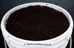 Worm Castings Vermicompost Worm Farms For Making Aerated Tea