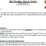 Hot Weather Tips & Tricks For Worm Farms - Screenshot - By Brian The Worm Man