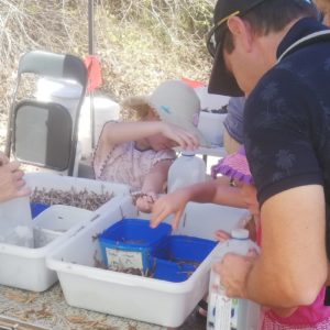 MAWF Kids Event Entertainment Activity Incursion BGPE crop