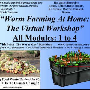 All Four Modules - Virtual Workshop