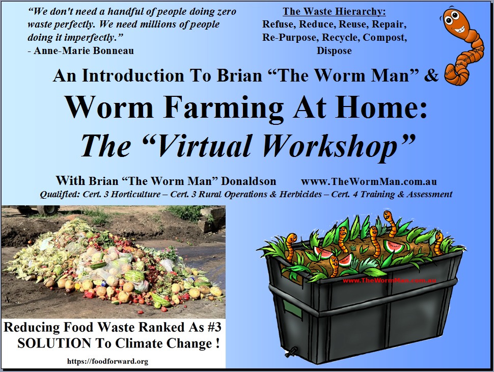 Intro To Brian The Worm Man & Virtual Workshops