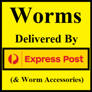 1 - Live Worms & Worm Farming Accessories