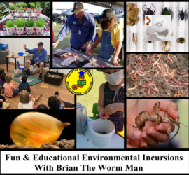 Fun & Educational Environmental Incursions With Brian The Worm Man