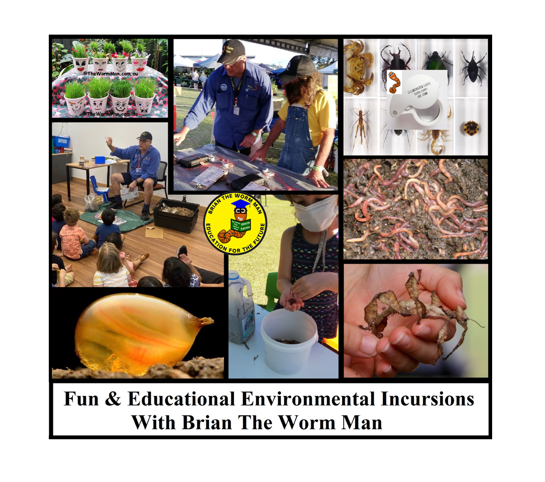 Fun & Educational Environmental Incursions With Brian The Worm Man