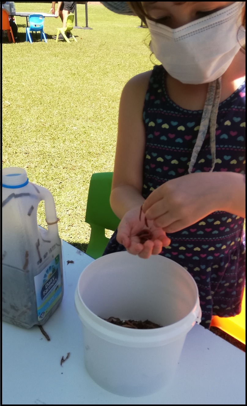 Incursion - MAKE A MINI WORM FARM With Brian The Worm Man MAWF