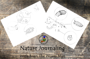 Nature Journaling - Worm & Bug Journal - An Incursion With Brian The Worm Man