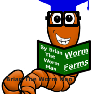 3. Educational Services