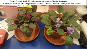 VC Example - Courtesy Nicole Sherman wm            