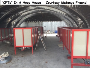 1 cft matanya freund          