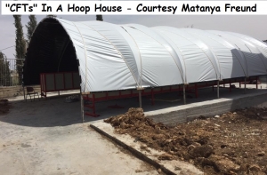 4 cft matanya freund          