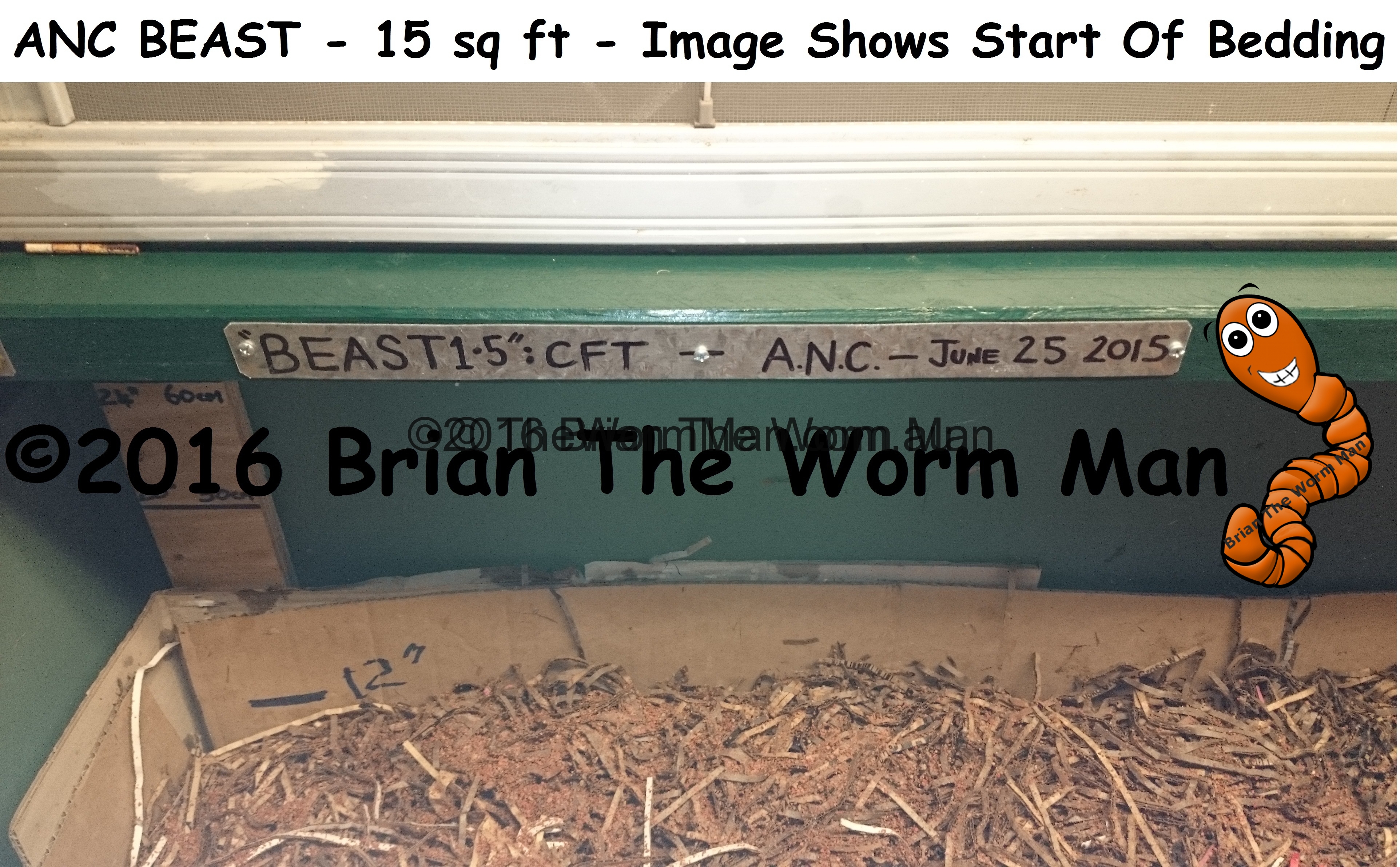 DIY Plans - Wooden Continuous Flow Through (CFT) | Worms ...