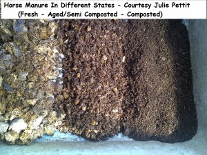 Horse Manure In Different States - Courtesy Julie Pettit wm 