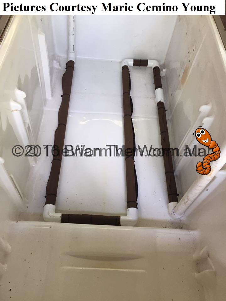 Bath Tub Worm Farm Worms For, Diy Worm Farm For Fishing