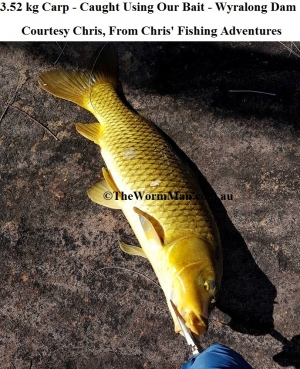 10   Chris' Fishing Adventures - Carp 3.52 kg wm       
