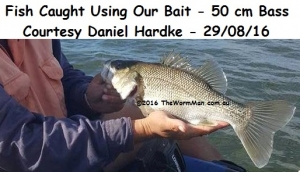 1   Fish Caught Using Our Bait       