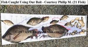 4   Philip Mainwaring x 21 fish wm       