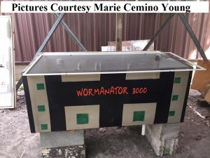 Worms For Worm Farms And Fishing Bait 4 fridge paint      