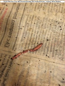 protein poisoning 3 brian mcinnes   